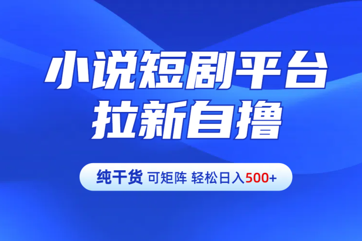 【纯干货】小说短剧平台拉新自撸玩法详解-单人轻松日入500+爱优网赚-网创项目资源站-副业项目-创业项目-搞钱项目爱优网赚