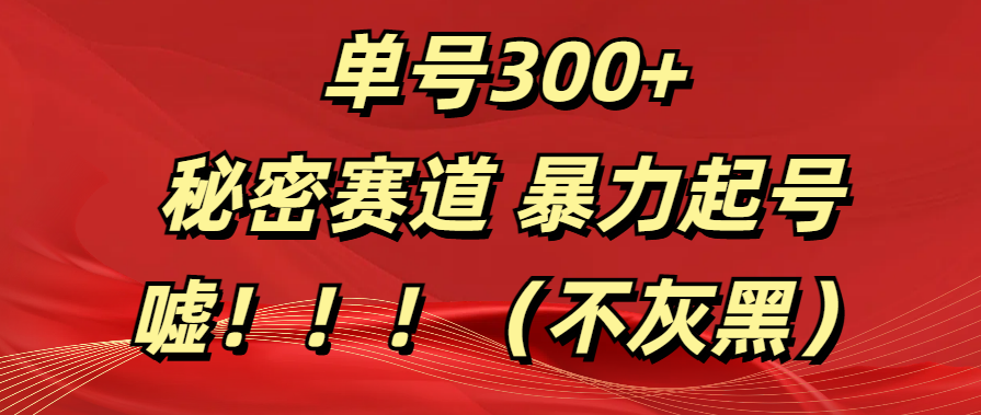 单号300+  秘密赛道 暴力起号  （不灰黑）爱优网赚-网创项目资源站-副业项目-创业项目-搞钱项目爱优网赚
