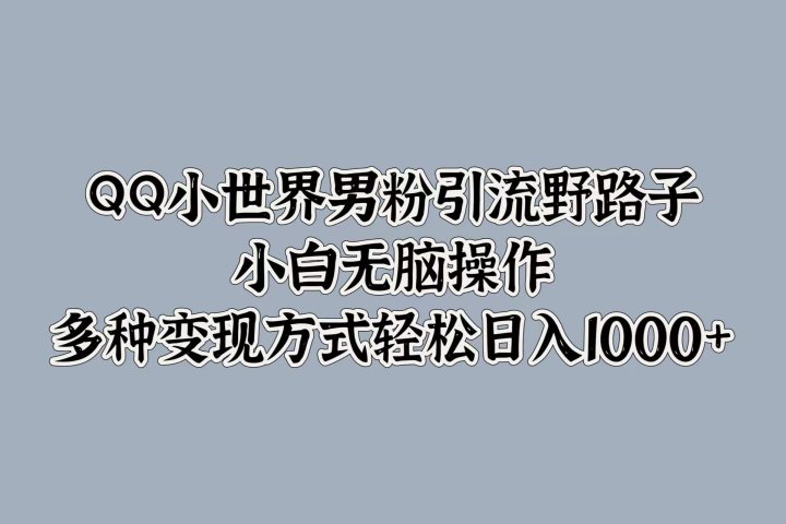 QQ小世界男粉引流野路子，小白无脑操作，多种变现方式轻松日入1000+爱优网赚-网创项目资源站-副业项目-创业项目-搞钱项目爱优网赚