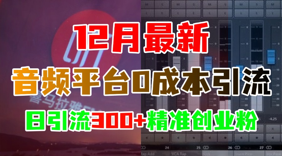 12月最新：音频平台0成本引流，日引300+精准创业粉爱优网赚-网创项目资源站-副业项目-创业项目-搞钱项目爱优网赚