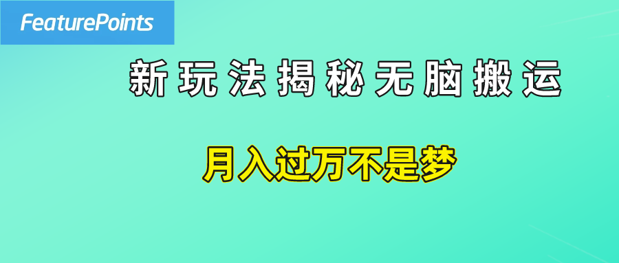 简单操作，每天50美元收入，搬运就是赚钱的秘诀！爱优网赚-网创项目资源站-副业项目-创业项目-搞钱项目爱优网赚