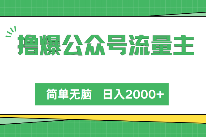 撸爆公众号流量主，简单无脑，单日变现2000+爱优网赚-网创项目资源站-副业项目-创业项目-搞钱项目爱优网赚