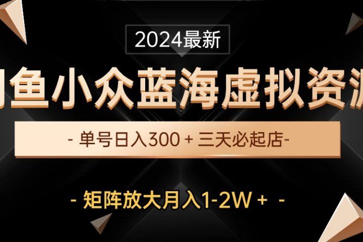 最新闲鱼小众蓝海虚拟资源，单号日入300＋，三天必起店，矩阵放大月入1-2W爱优网赚-网创项目资源站-副业项目-创业项目-搞钱项目爱优网赚