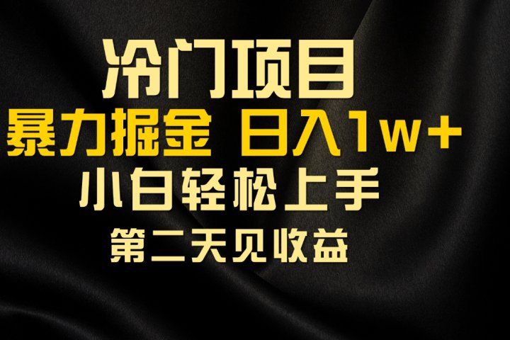 冷门项目，靠一款软件日入10000+暴力掘金小白轻松上手，第二天见收益爱优网赚-网创项目资源站-副业项目-创业项目-搞钱项目爱优网赚