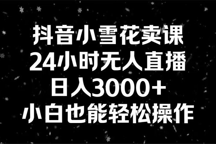 抖音小雪花卖课，24小时无人直播，日入3000+,小白也能轻松操作爱优网赚-网创项目资源站-副业项目-创业项目-搞钱项目爱优网赚
