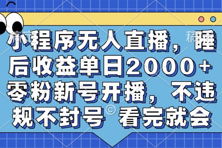 小程序无人直播，睡后收益单日2000+ 零粉新号开播，不违规不封号 看完就会爱优网赚-网创项目资源站-副业项目-创业项目-搞钱项目爱优网赚