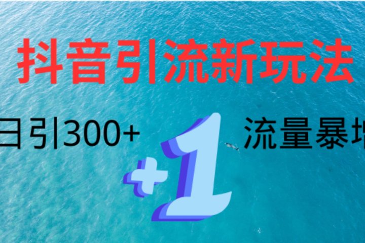 创业粉高效引流，抖音工具号玩法4.0，日引300+爱优网赚-网创项目资源站-副业项目-创业项目-搞钱项目爱优网赚