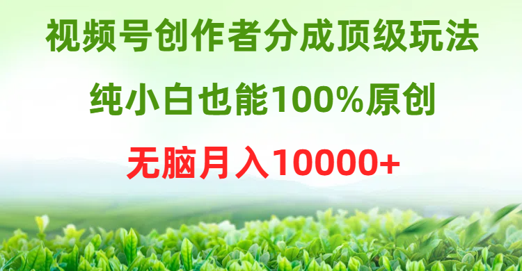 视频号创作者分成顶级玩法，纯小白也能100%原创，无脑月入10000+爱优网赚-网创项目资源站-副业项目-创业项目-搞钱项目爱优网赚