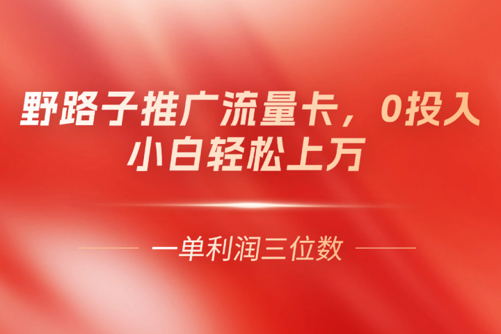 野路子推广流量卡，一单利润上百，0投入，小白月利润上万爱优网赚-网创项目资源站-副业项目-创业项目-搞钱项目爱优网赚