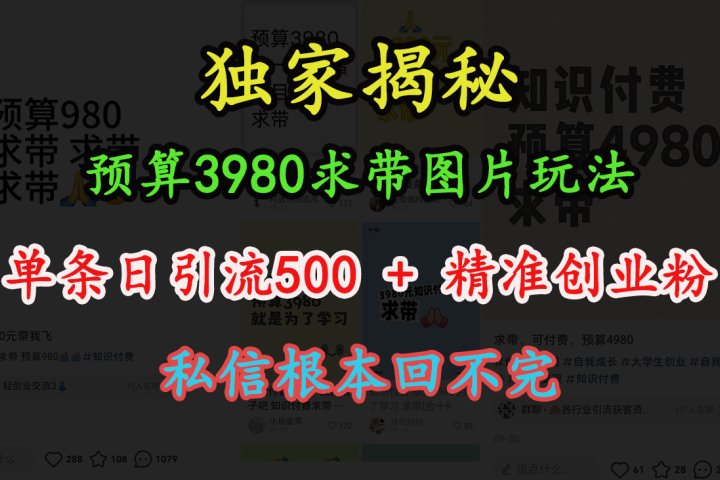 “小红书”预算3980求带 图片玩法，单条日引流500+精准创业粉，私信根本回不完爱优网赚-网创项目资源站-副业项目-创业项目-搞钱项目爱优网赚