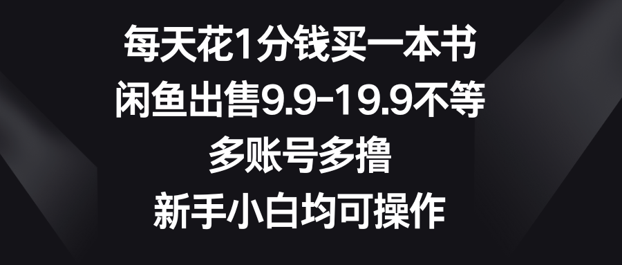 每天花1分钱买一本书，闲鱼出售9.9-19.9不等，多账号多撸，新手小白均可操作爱优网赚-网创项目资源站-副业项目-创业项目-搞钱项目爱优网赚