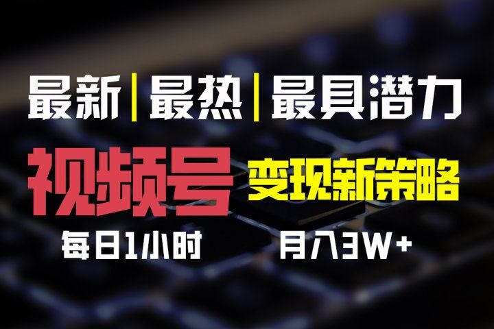 视频号变现新策略，每日一小时月入30000+爱优网赚-网创项目资源站-副业项目-创业项目-搞钱项目爱优网赚