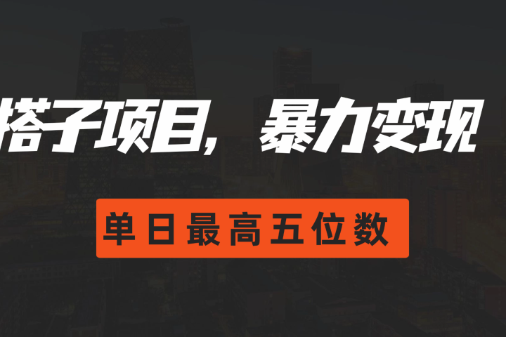 搭子项目，暴力变现，单日最高破五位数爱优网赚-网创项目资源站-副业项目-创业项目-搞钱项目爱优网赚