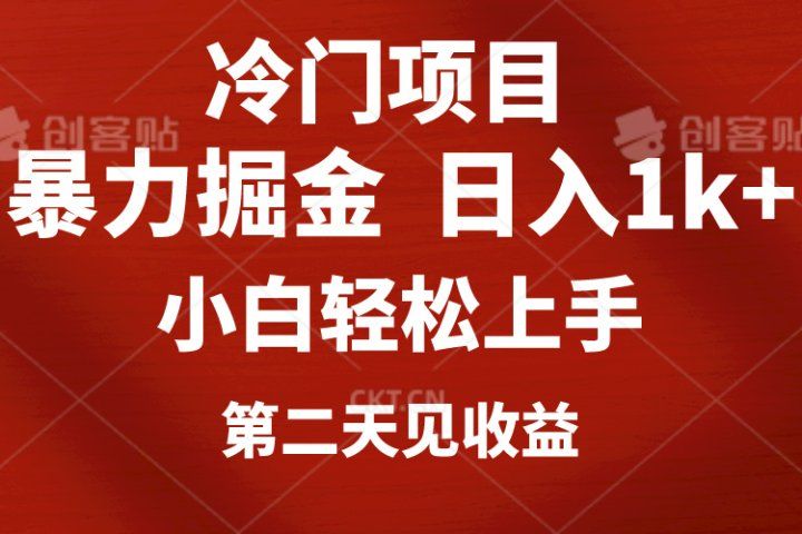 冷门项目，靠一款软件日入1000+暴力掘金小白轻松上手，第二天见收益爱优网赚-网创项目资源站-副业项目-创业项目-搞钱项目爱优网赚