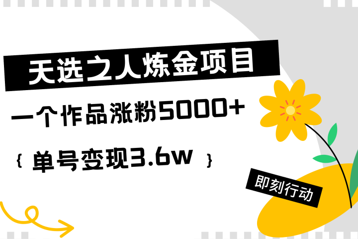 天选之人炼金项目，一个作品涨粉5000+，单号变现3.6w爱优网赚-网创项目资源站-副业项目-创业项目-搞钱项目爱优网赚