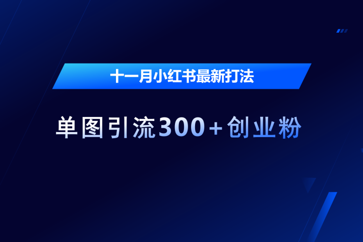 十一月，小红书最新打法，单图引流300+创业粉爱优网赚-网创项目资源站-副业项目-创业项目-搞钱项目爱优网赚