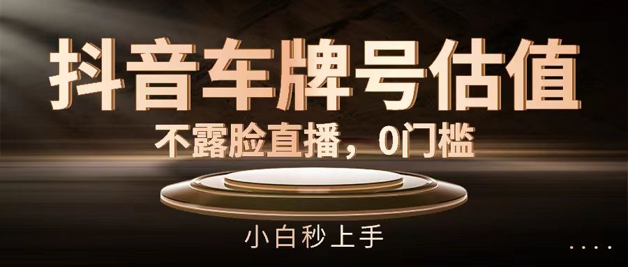抖音车牌号估值，不露脸直播，0门槛，小白秒上手爱优网赚-网创项目资源站-副业项目-创业项目-搞钱项目爱优网赚