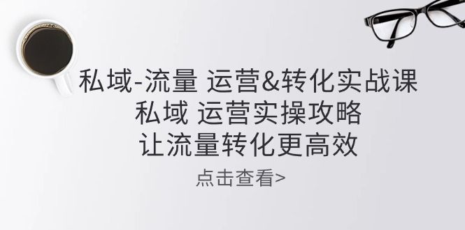 私域-流量 运营转化实操课：私域 运营实操攻略 让流量转化更高效爱优网赚-网创项目资源站-副业项目-创业项目-搞钱项目爱优网赚