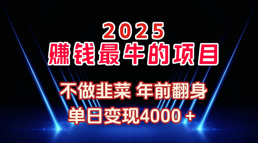 2025年赚钱最牛的项目 不做韭菜 年前翻身爱优网赚-网创项目资源站-副业项目-创业项目-搞钱项目爱优网赚