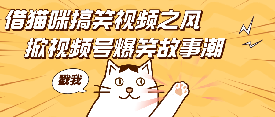 借猫咪搞笑视频之风，掀视频号爆笑故事潮，轻松日赚四位数，开启无门槛赚钱新体验！爱优网赚-网创项目资源站-副业项目-创业项目-搞钱项目爱优网赚