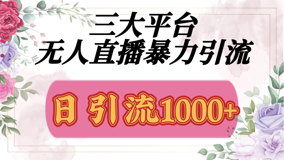 抖音，快手，视频号全平台通用，无人直播引流法，利用图片,模板,整套话术挂机全天支持矩阵操作，无限设备多开，超暴力引流，1000+高质量精准创业粉爱优网赚-网创项目资源站-副业项目-创业项目-搞钱项目爱优网赚
