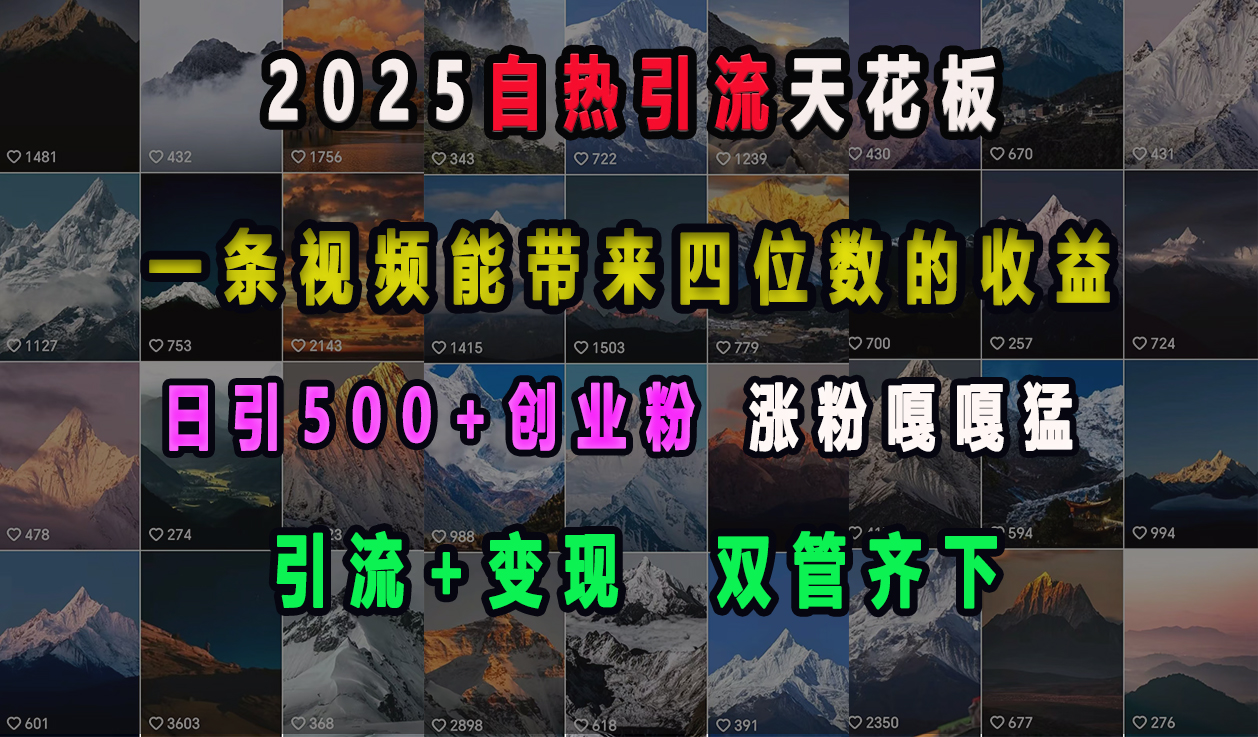 2025自热引流天花板，一条视频能带来四位数的收益，引流+变现双管齐下，日引500+创业粉，涨粉嘎嘎猛爱优网赚-网创项目资源站-副业项目-创业项目-搞钱项目爱优网赚