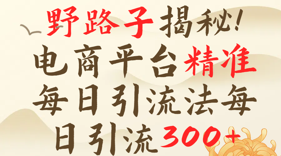 野路子揭秘！电商平台每日引流300＋独家揭秘详细流程！爱优网赚-网创项目资源站-副业项目-创业项目-搞钱项目爱优网赚