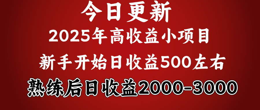 2025开年好项目，新手日收益500+ 熟练掌握后，日收益平均2000多爱优网赚-网创项目资源站-副业项目-创业项目-搞钱项目爱优网赚