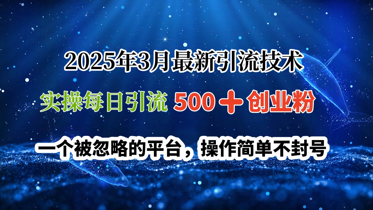 2025年3月最新引流技术，实操每日引流500➕创业粉，一个被忽略的平台，操作简单不封号爱优网赚-网创项目资源站-副业项目-创业项目-搞钱项目爱优网赚
