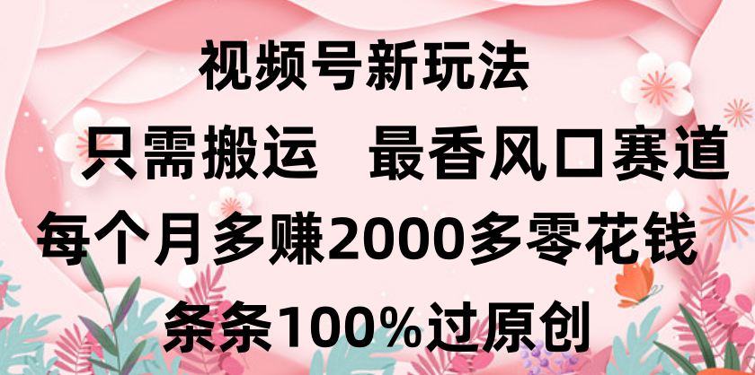 日入2000+，条条100%过原创，视频号最香风口赛道，小白轻松上手爱优网赚-网创项目资源站-副业项目-创业项目-搞钱项目爱优网赚