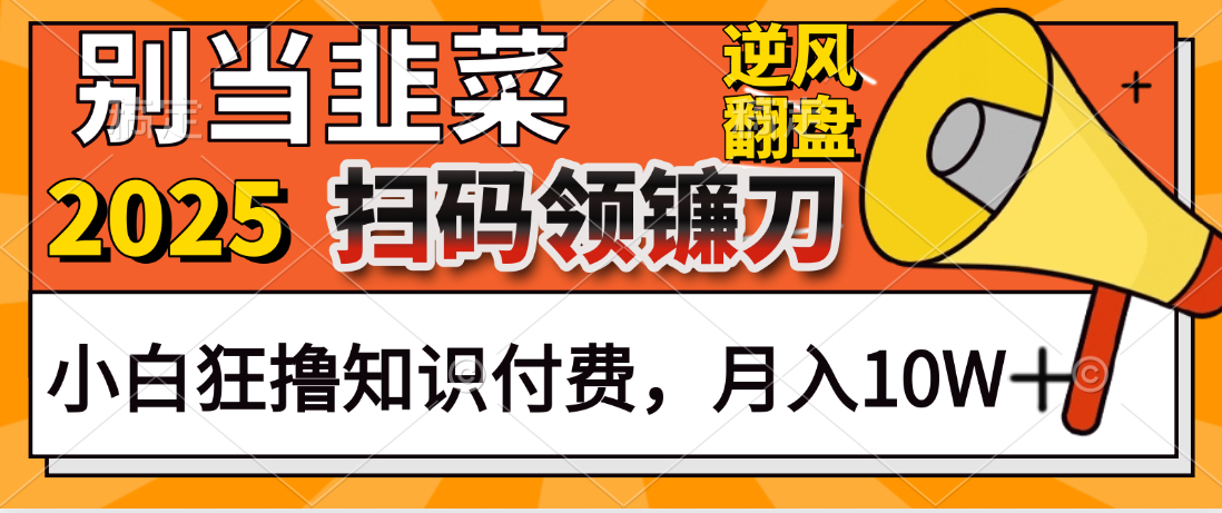 2025别当韭菜！扫码领镰刀！小白狂撸知识付费月入10W+爱优网赚-网创项目资源站-副业项目-创业项目-搞钱项目爱优网赚