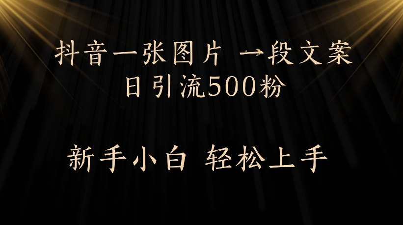 抖音一张图片，一段文案日引流500粉，新手小白 轻松上手爱优网赚-网创项目资源站-副业项目-创业项目-搞钱项目爱优网赚